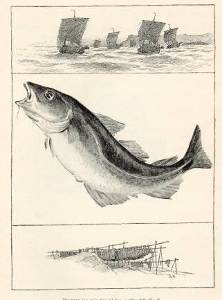 Illustration H.G.Sørensen