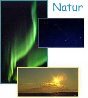 nature logo