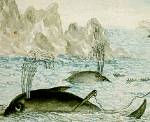 whaling