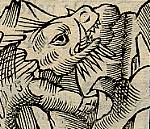 Wood cut Olaus Magnus