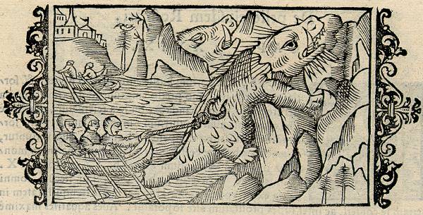 Wood cut from Olaus Magnus